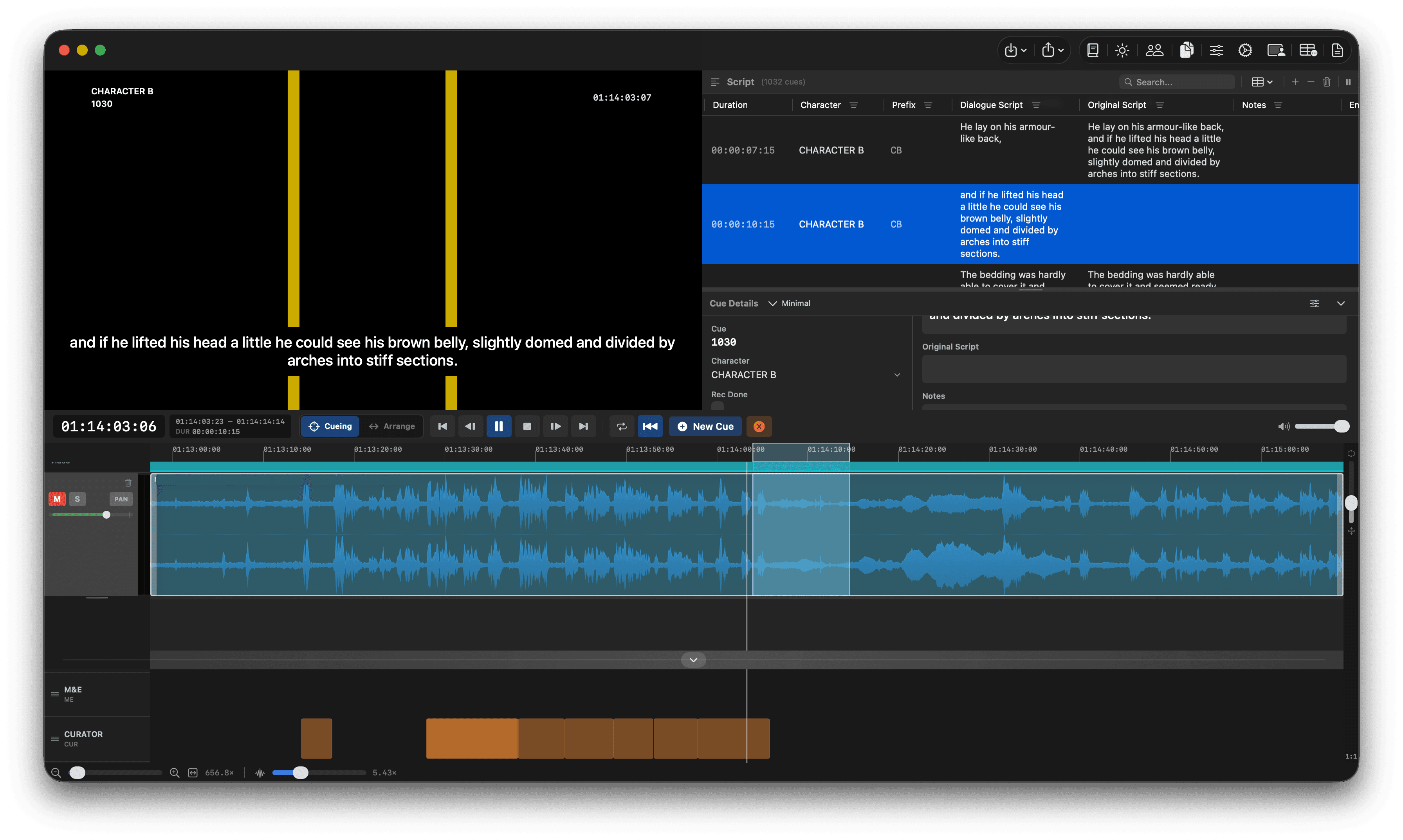 CueForge video overlay preview with subtitle-style text.